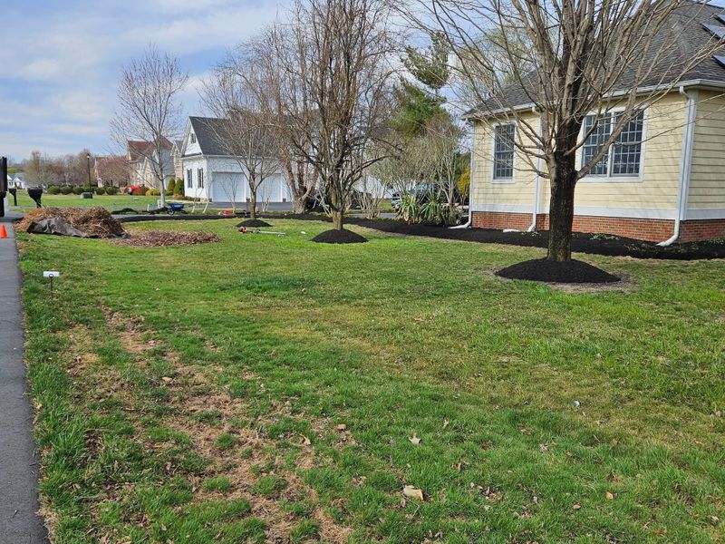 Lawn Maintenance