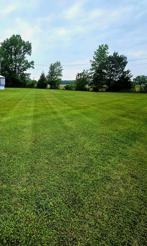 Sod Installation