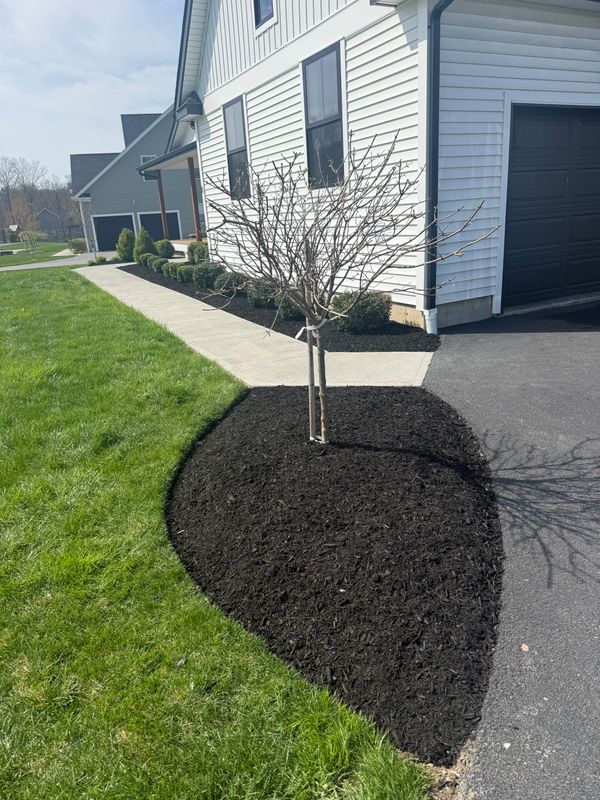 Landscape Design & Construction