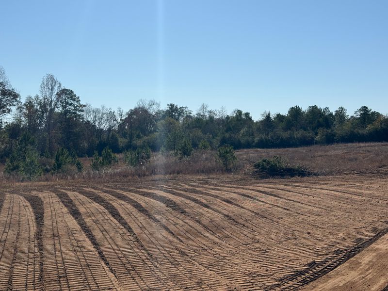 Land Clearing & Demolition