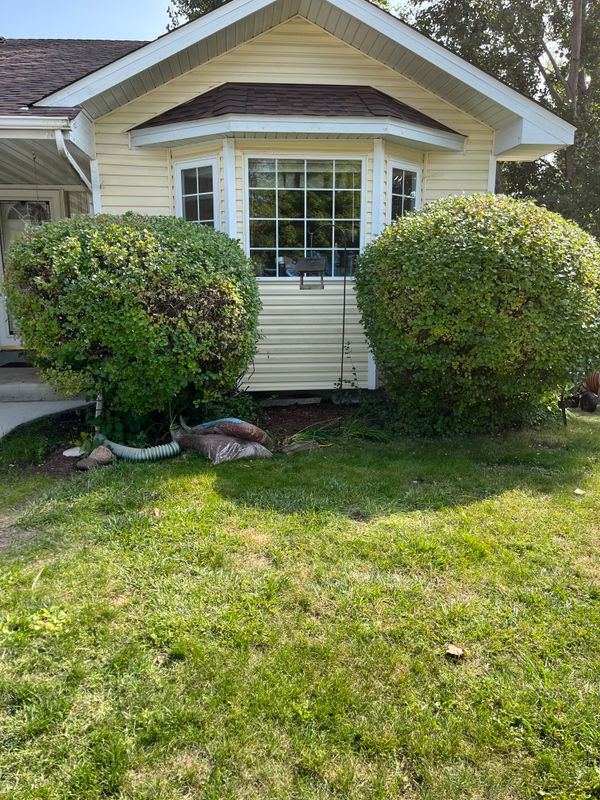 Shrub Trimming