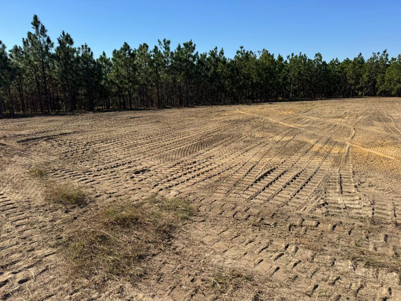 Land Clearing