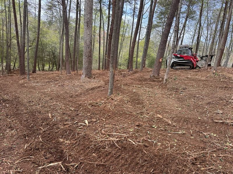 Forestry Mulching