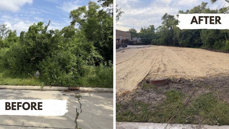 Land Clearing