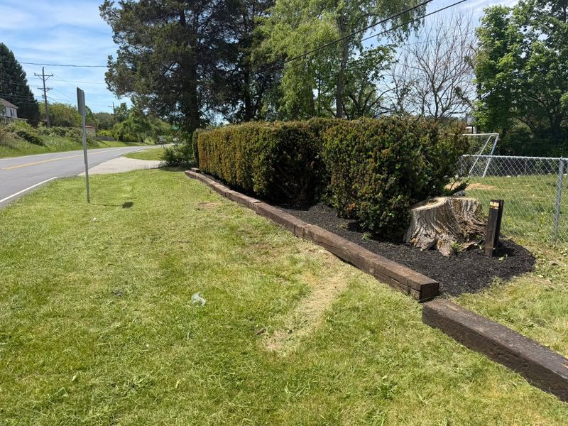 Lawn Maintenance