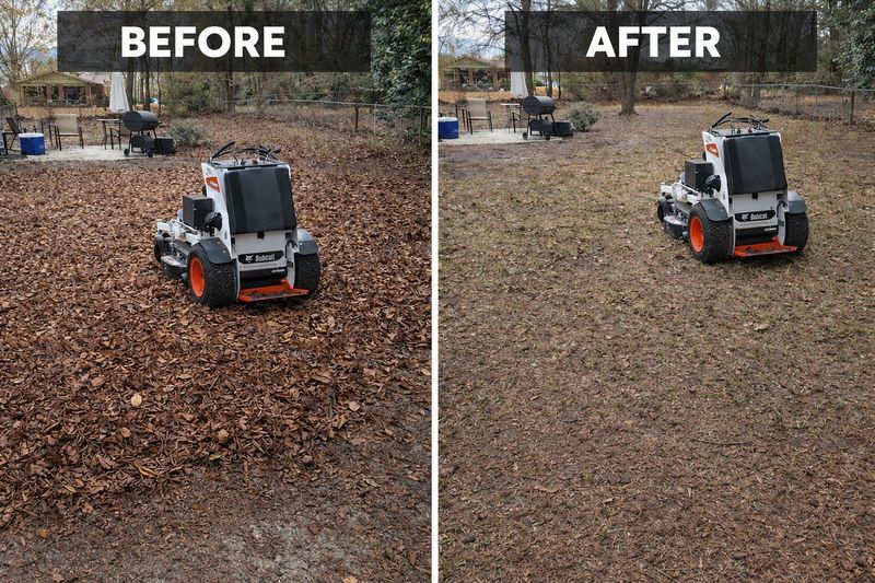Routine Lawn Maintenance