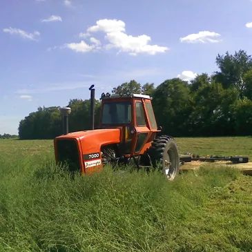 Tractor Mowing and Dirt Work