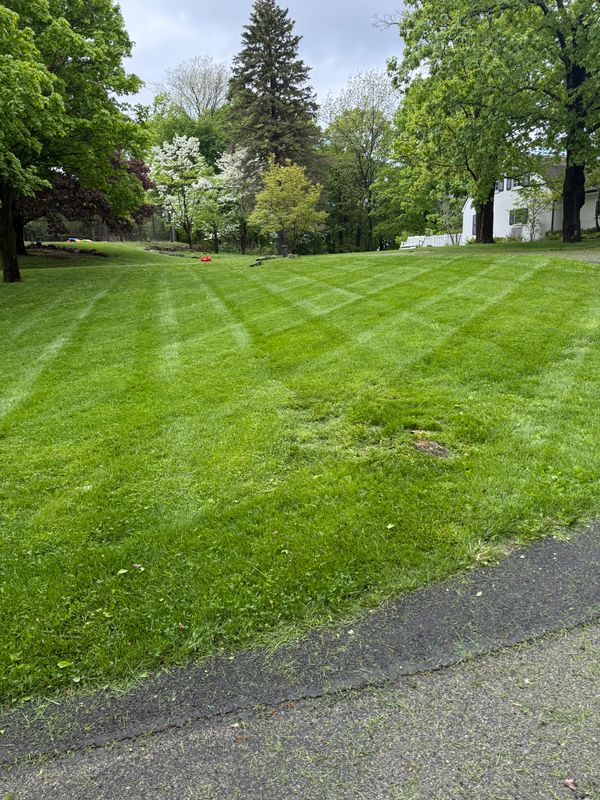 Lawn Maintenance