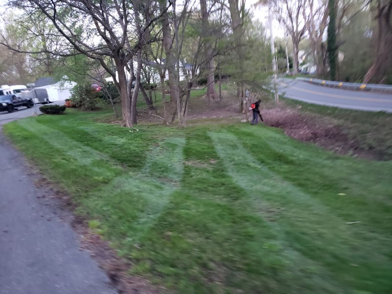 Grass Mowing