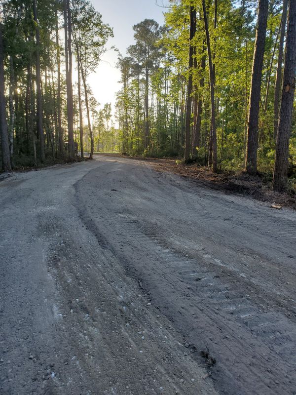 Land Clearing