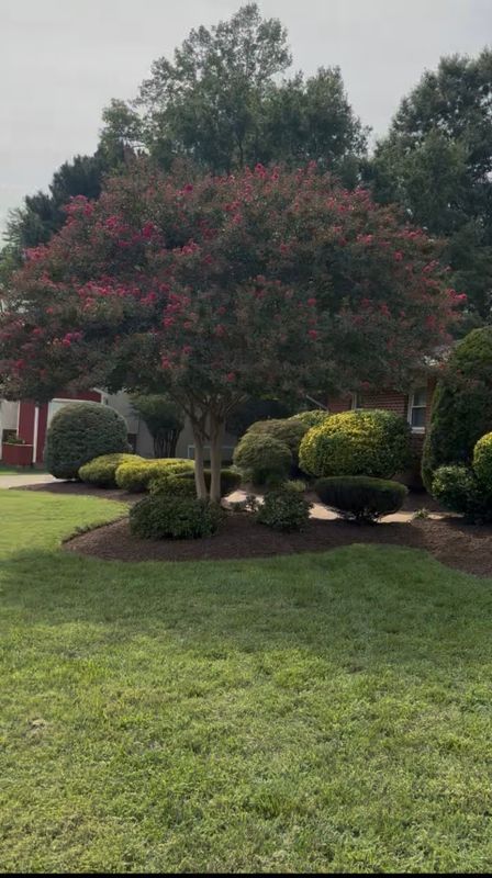 Tree Work & Arborist Services
