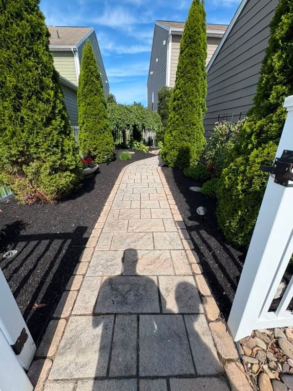 Landscape Design