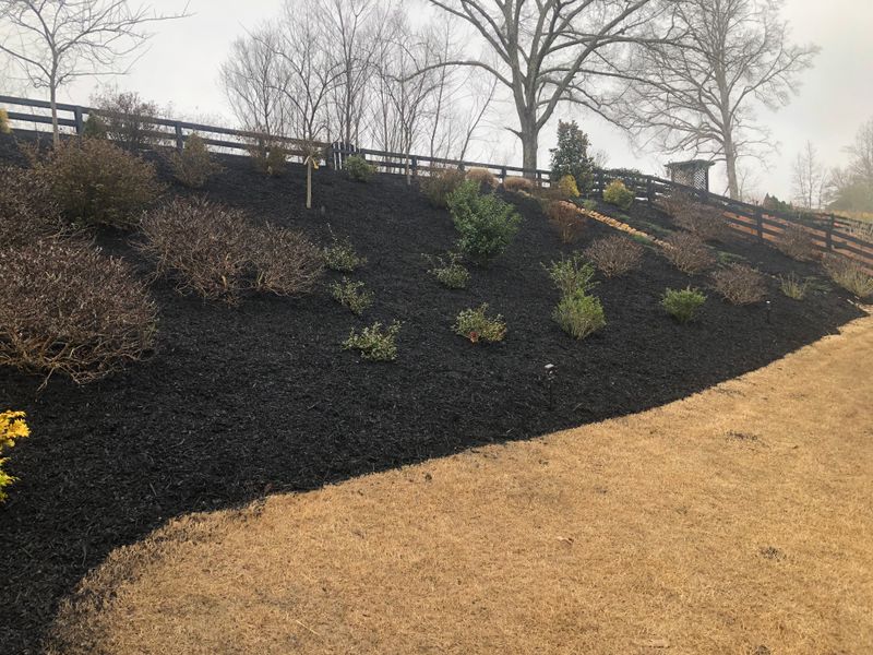 Landscape Design and Installation