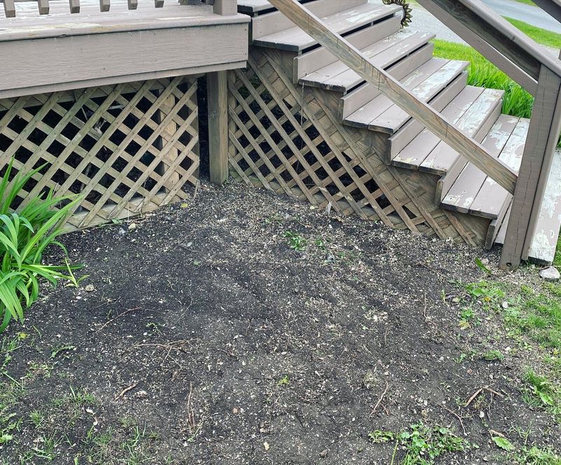 Stump Grinding