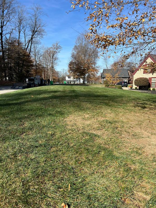 Fall Clean Up