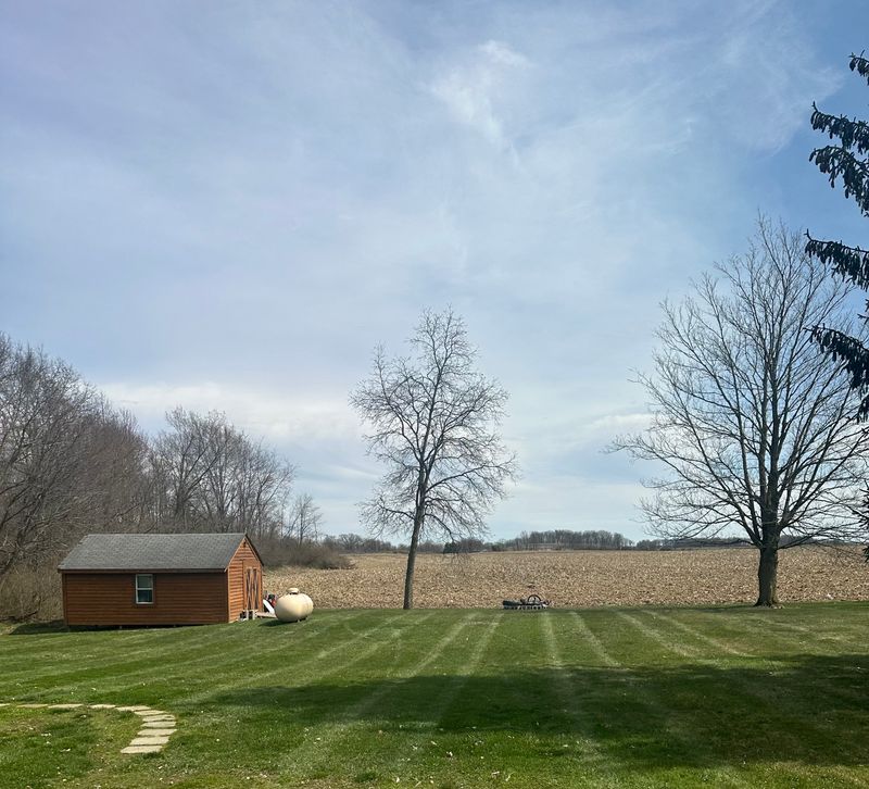 Lawn Care