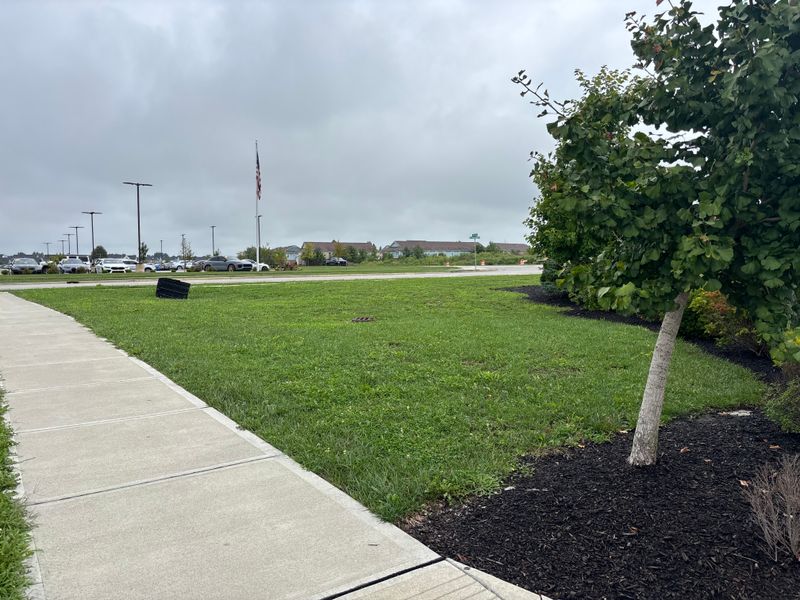 Landscaping and Irrigation Systems Repair