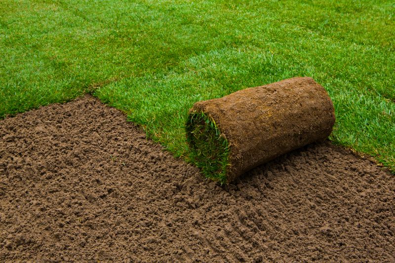 Sod Installation