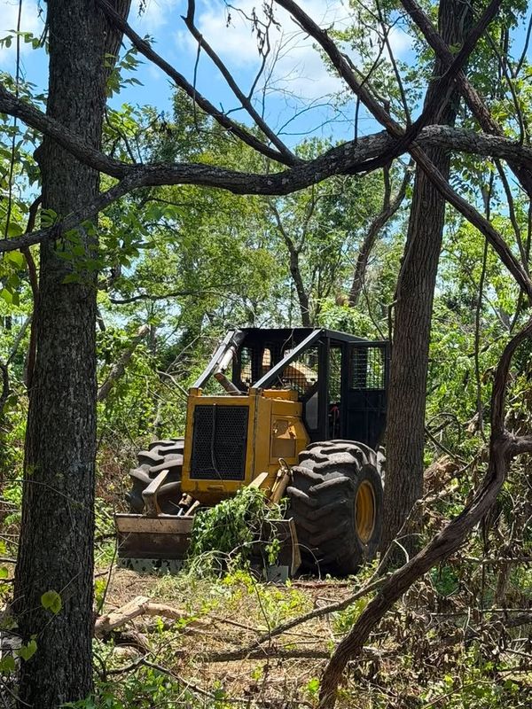 Land Clearing