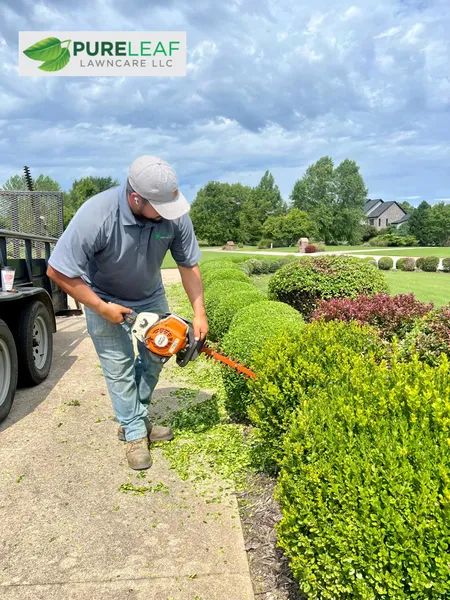 Flower Bed Maintainence
