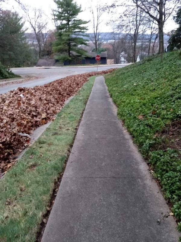 Landscape Design