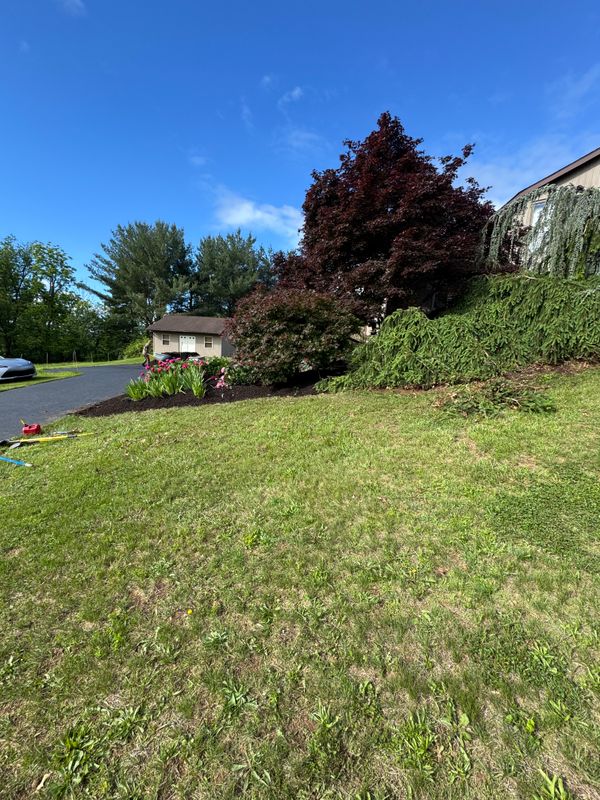 Landscaping