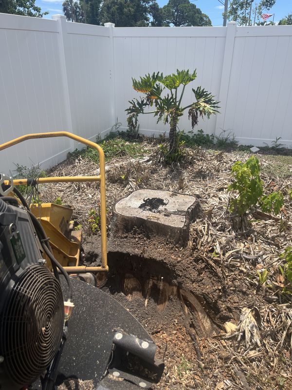 Stump Grinding