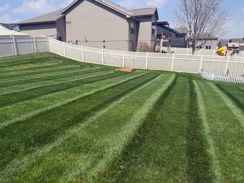 Lawn Care