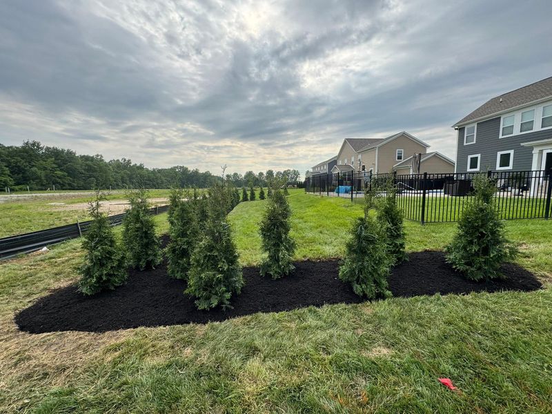 Mulch Installation