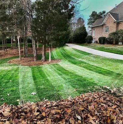Leaf cleanup