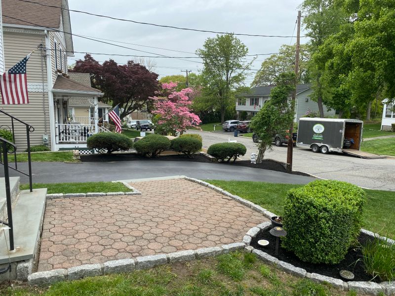 Shrub Trimming