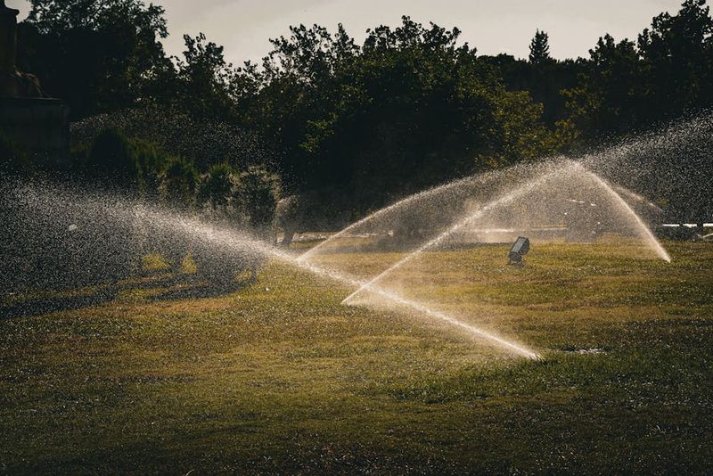 Irrigation System Installation