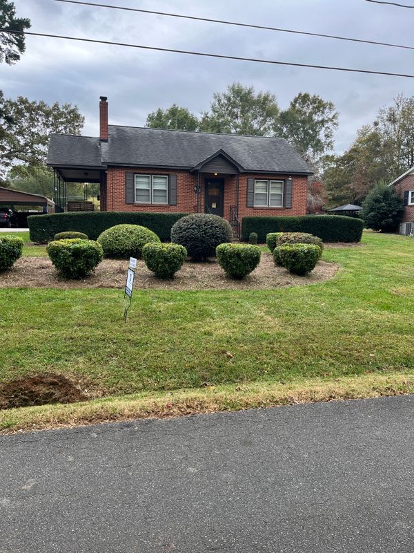 Shrub Trimming gallery