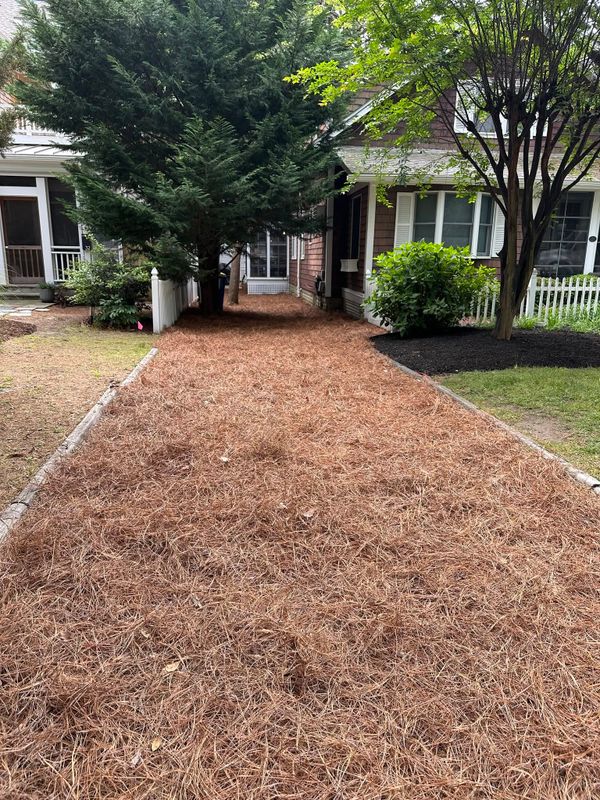 Landscape Design & Installation
