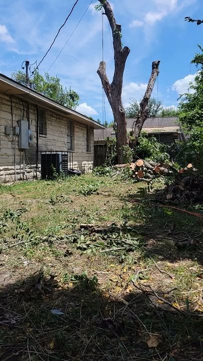 Tree Trimming & Removal