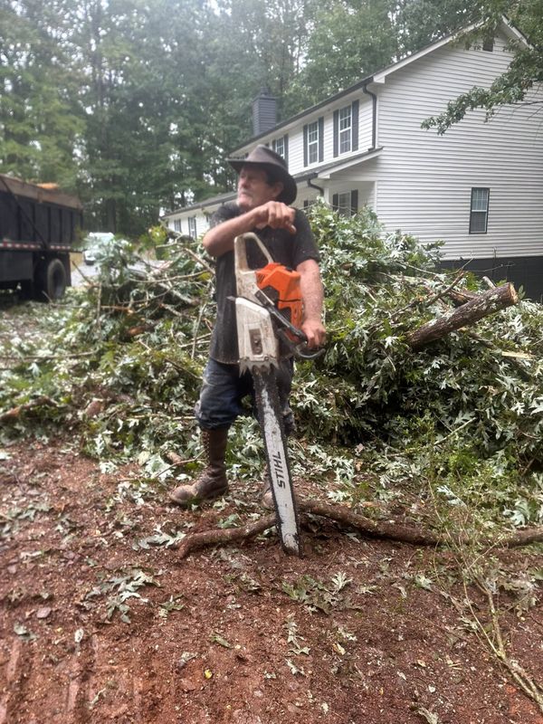 Tree Services