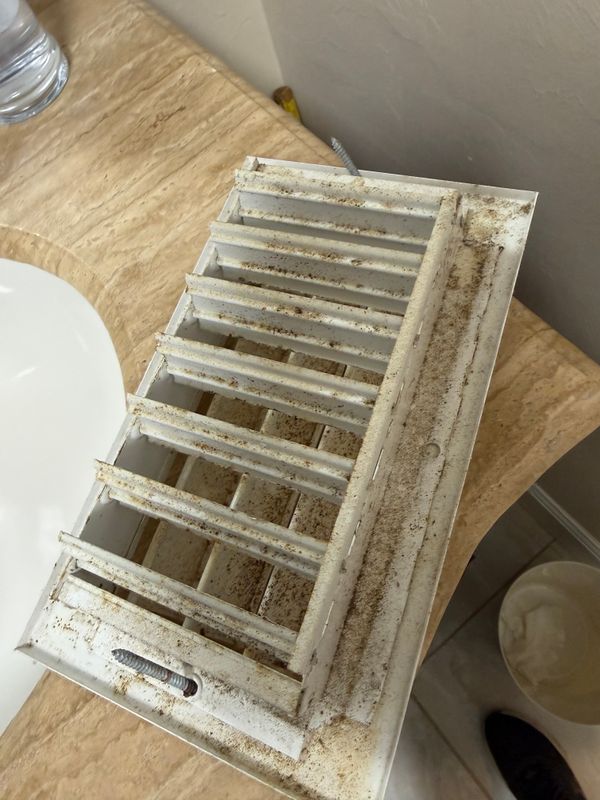 Mold Remediation