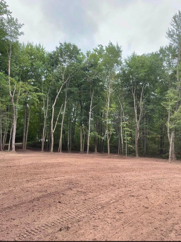 Land Clearing & Forestry Mulching