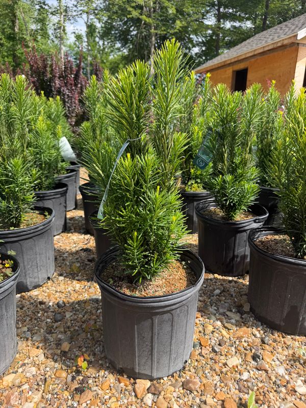 Garden Center
