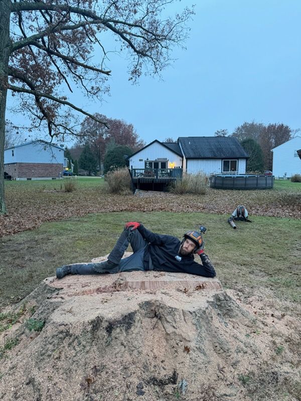 Stump Removal