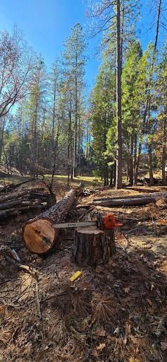 Stump Removal
