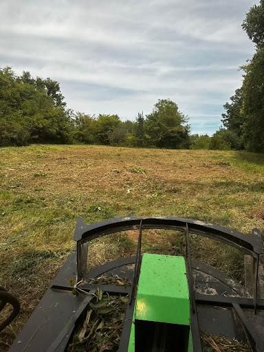 Land Clearing & Bushogging