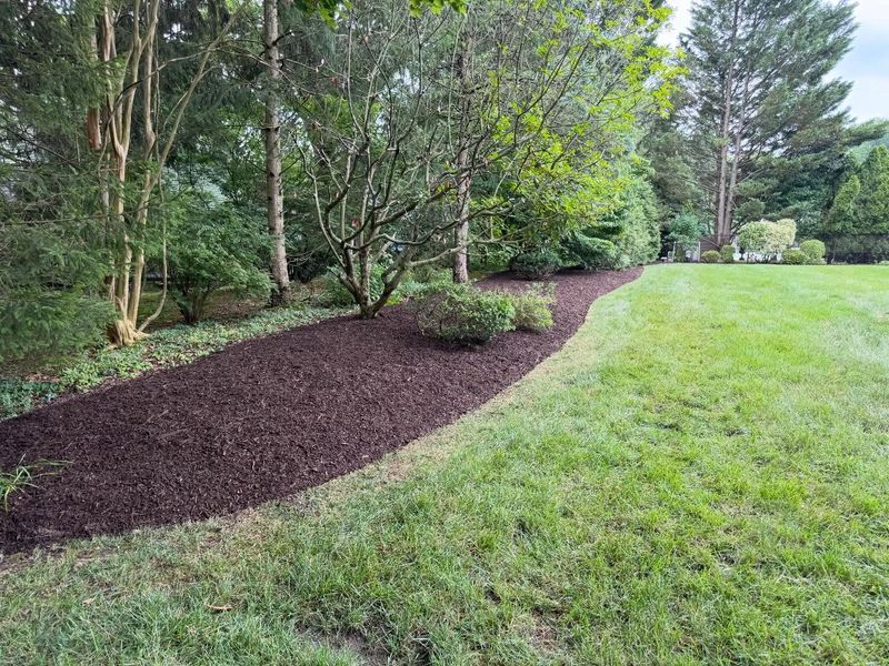 Landscape Design & Installation