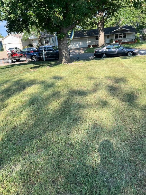 Lawn Maintenance