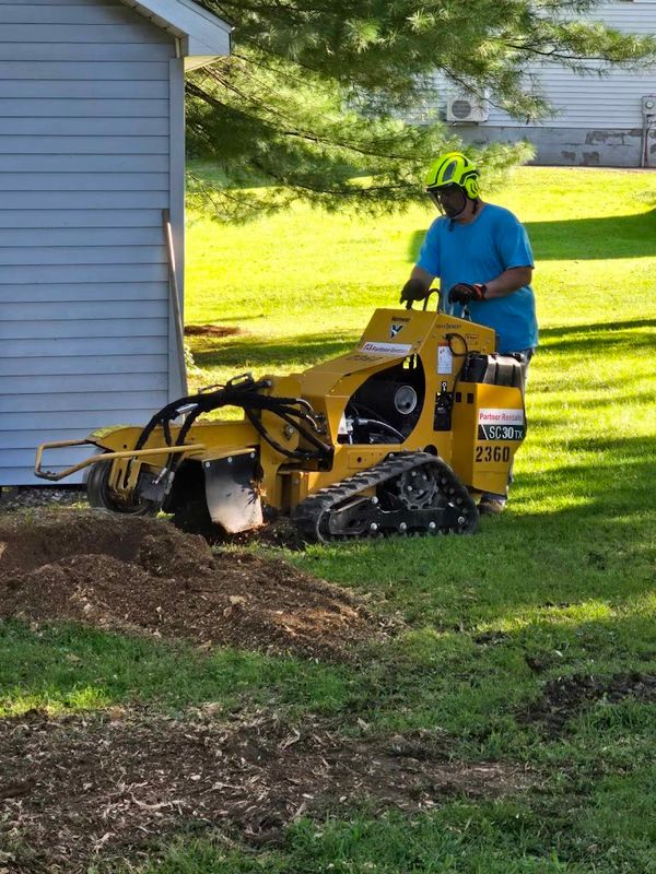 Stump Removal