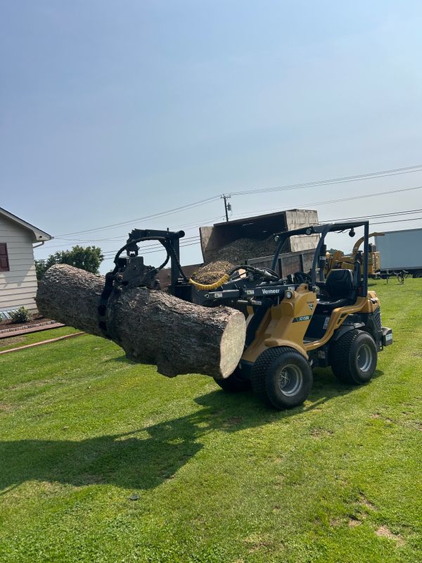 Stump Removal