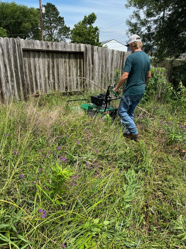 Lawn and Yard Maintenance