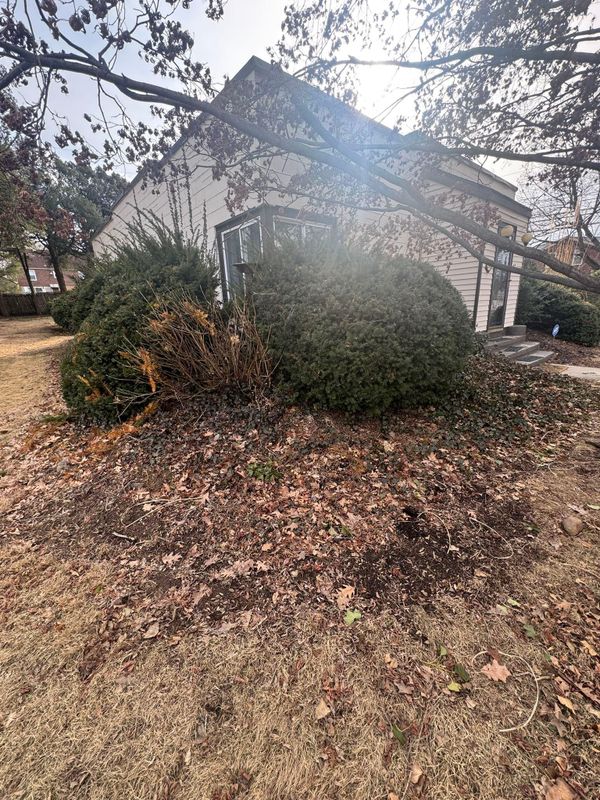 Seasonal Clean Up