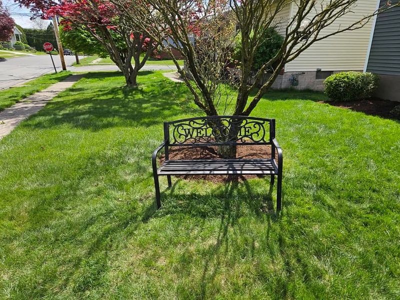 Lawn Mowing