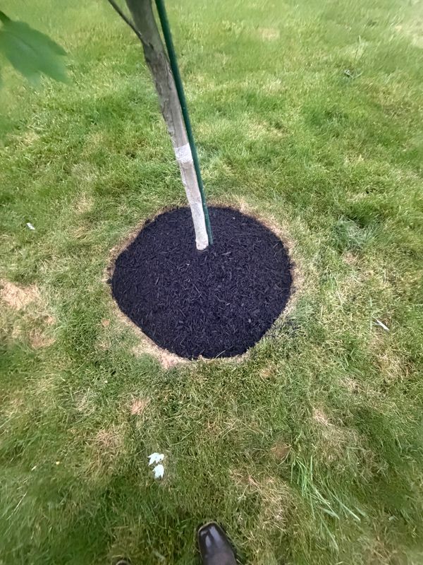 Landscaping